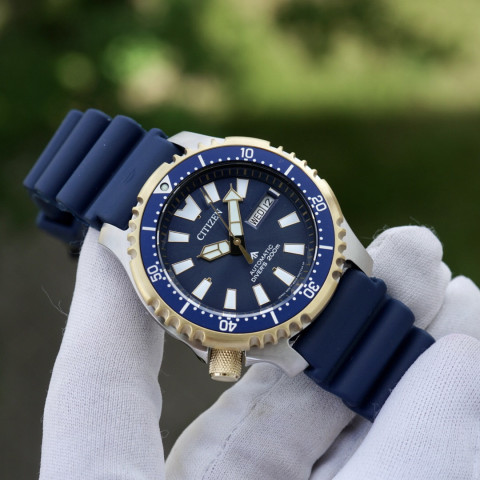 Citizen NY0096-12L Promaster Asia Limited Edition Automatic Divers