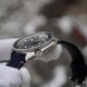 Seiko SRPG15J1 Land Tortoise Prospex Diver's Automatic Turtle